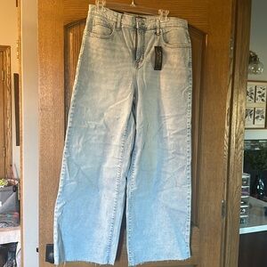 NWT; banana republic wide leg jean; stretch; sz 12